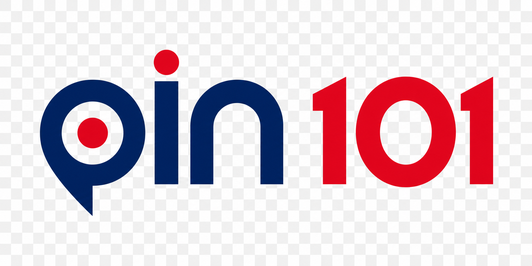 Pin 101